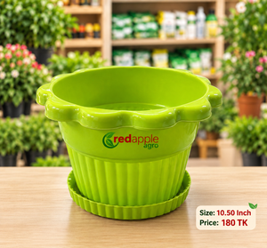 গাছের টব (Flower Pot)