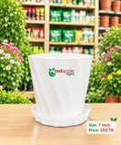 গাছের টব (Flower Pot)