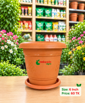 গাছের টব (Flower Pot)