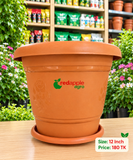 গাছের টব (Flower Pot)