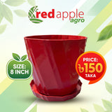 গাছের টব (Flower Pot)