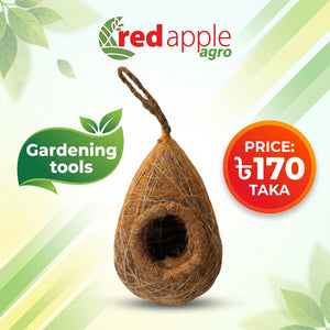 Bird Nest Babui Pakhir Basha - 4700046 – FTDX