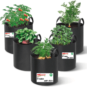 Geo Bag, 5 Gallon Capacity