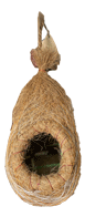 Bird Nest Babui Pakhir Basha - 4700046 – FTDX